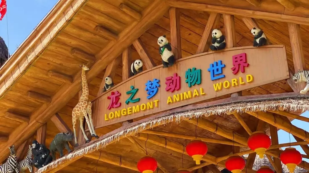圖片8 圖片8